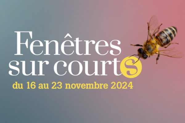 Courts-métrages étudiants 🗓